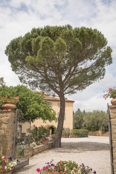 Terre Di Nano - Pienza