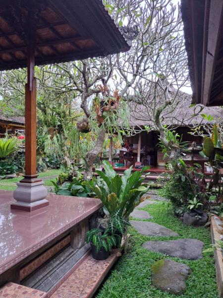 Mandala Bungalows, Ubud