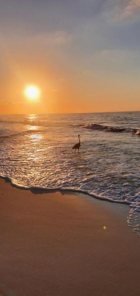 Sugar Beach 330 Family Friendly Vacation Sleeps 8 - Alabama