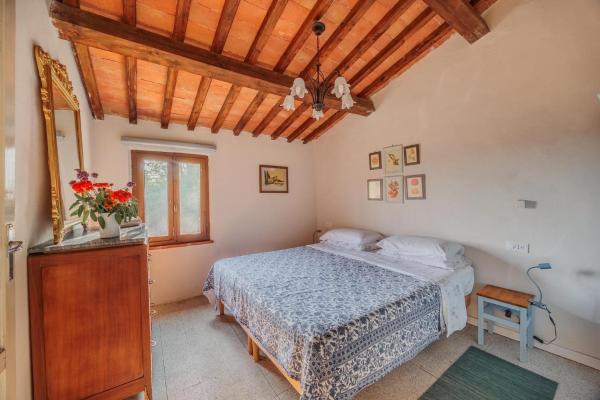 Appartamento Con Piscina E Giardino - Olivo - Peccioli