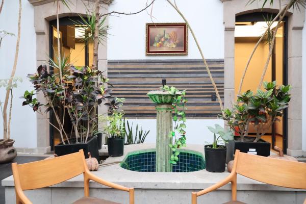 Casa Sanrafa - Ciudad de México
