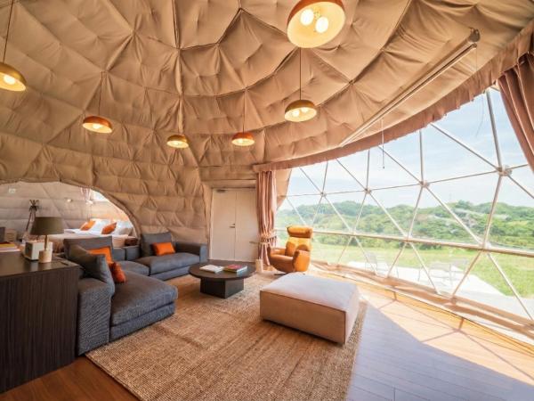 Glamprook Futtsu Bristol Hill - 