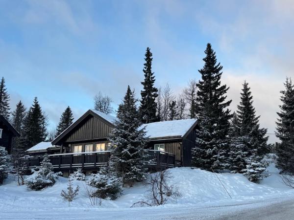 Cosy ski-in ski-out mountain cabin with sauna, Trysil