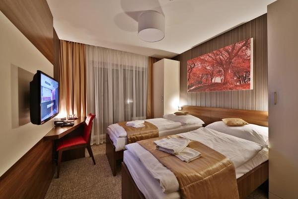 A la foto es mostra l'objecte Hotel Alexander situat a la ciutat de Zborov.