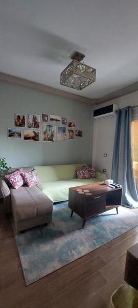 Nella foto è visibile l'oggetto Brand new flat near the Nile situato nella città di Il Cairo.