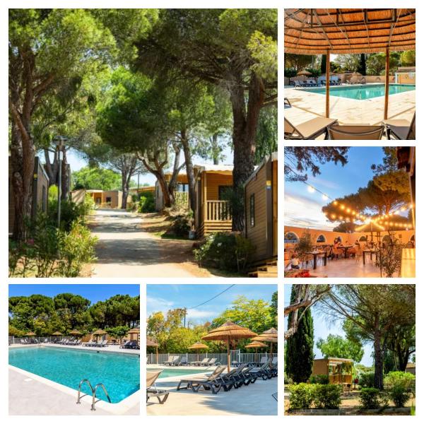 Camping "Le Hameau Des Pins" - Mobil-home Neuf - 6 Personnes - 3 Chambres - Côte d'Azur