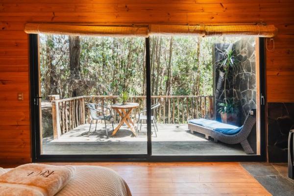 Ruca Lodge, Habitación 2 Personas Cama King, Desayuno, Piscina, Bosque Costero - Chile