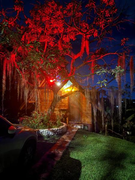 Hotel Cabañas Del Quindio - Filandia