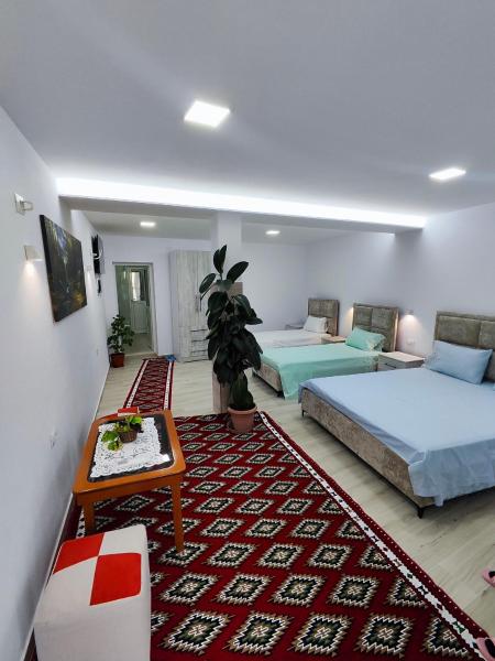 A la foto es mostra l'objecte Sokaku Apartment situat a la ciutat de Gjirokastër.
