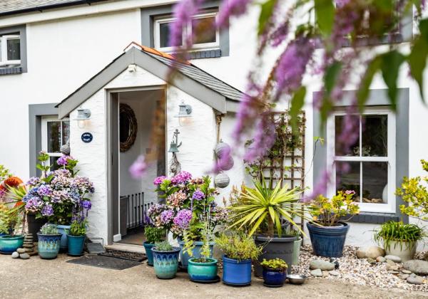 Sailors Cottage Dinas Cross - Fishguard