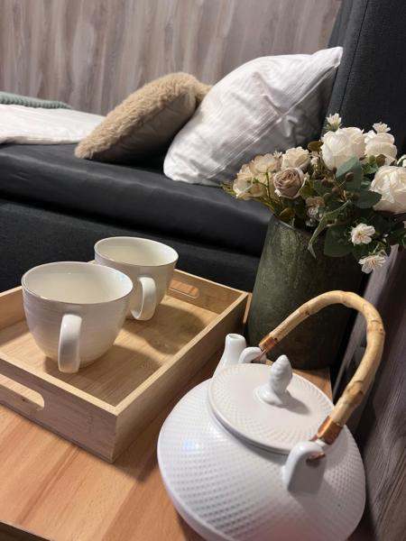 På bilden syns objektet Apartmán Třemošná som ligger i staden Třemošná.
