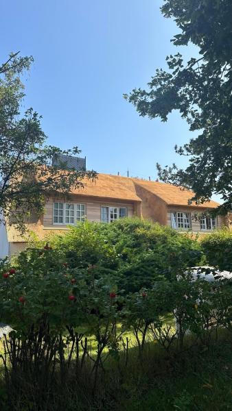 Neu In Keitum - Hochwertige Ferienwohnung Unter Reet Mit Strandkorb - Sylt