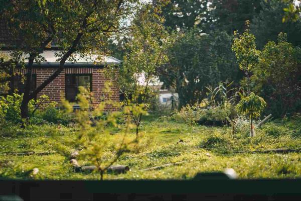 Ferienwohnung - Mecklenburgische Seenplatte