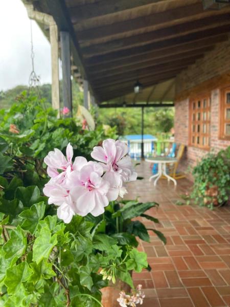 Morada De Las Aves - Huila