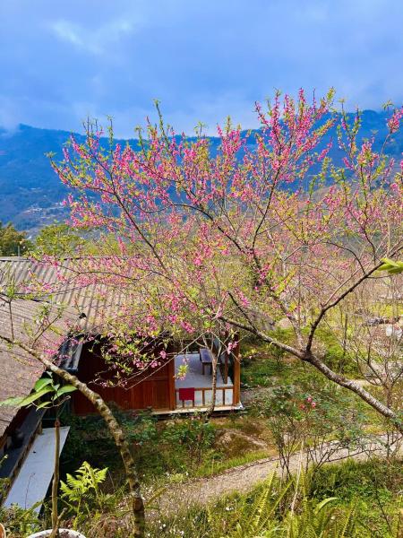 Tao Tay House - Ta Van - ベトナム