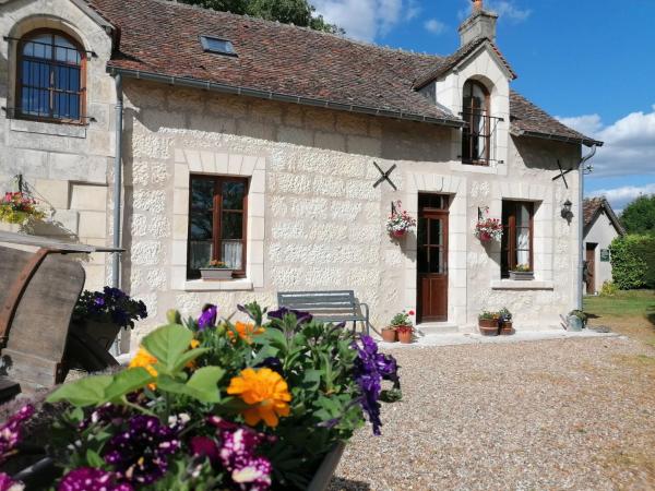 Gites De La Richardiere - Lhirondelle - France