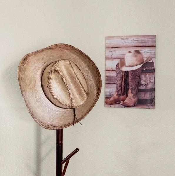 Cowboy Hideout - Arizona