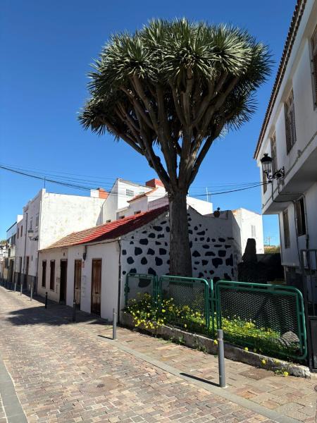 Casa Del Drago - Îles Canaries