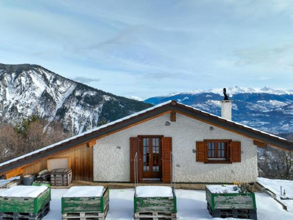 Chalet Mayens Du Rudet By Interhome - Les Diablerets
