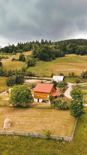Apuseni Wood House - Gârda de Sus