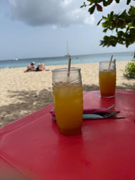 Cottage Idéal Kite Et Ou Farniente - Martinique