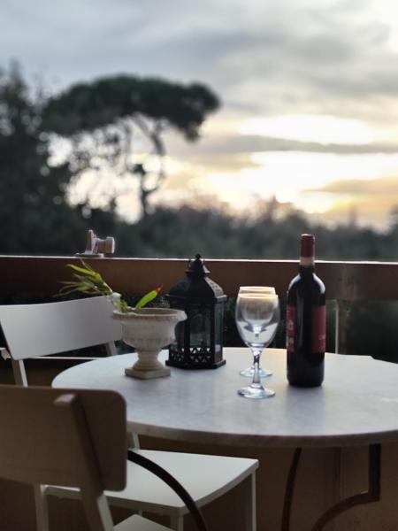 I Levrieri Sea Apartmet - Viareggio