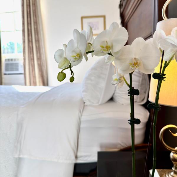 Charming Marigny 1br Near Frenchmen Street - 新奧爾良