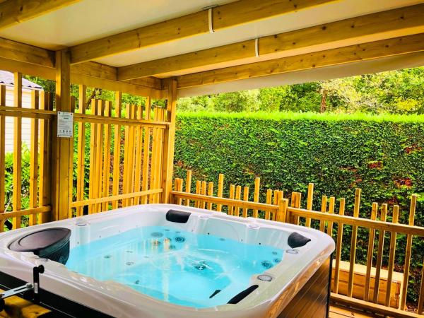 Mobil-home Prestige Avec Jacuzzi Et Terrasse - Api-1-52-1440 - Île d'Oléron