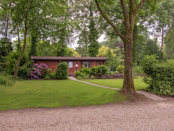 Fotografie 7: Chalet in Overijssel with Spacious Terrace