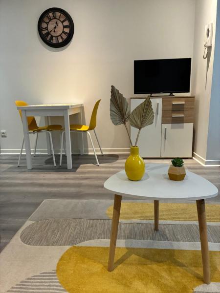 Appartements Coeur De Ville De Vichy - Mariol