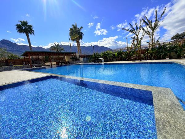 The Horse Farm Hotel - Chypre