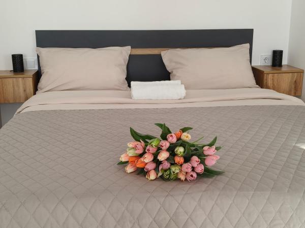 Na zdjęciu widoczny jest obiekt Comfort House Партизанська 25 położony w mieście Biała Cerkiew.