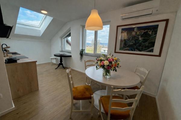 Apartmaji Čepon, Lublaň