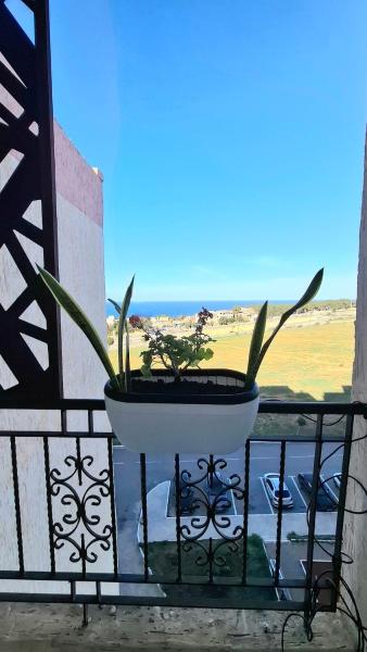 På billedet ses objektet Apart F3 in Tipaza, 10 mins from the beach beliggende i byen Tipasa.