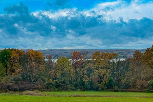 Chautauqua Lake Views! Bemus Point Getaway - Jamestown