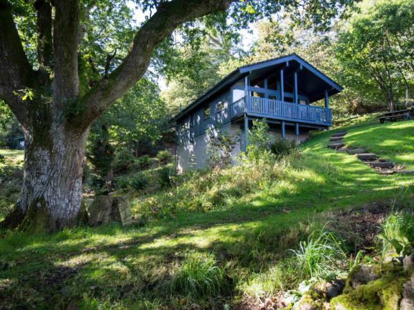 Cedar Chalet 19 - Ukc5237 - Crieff