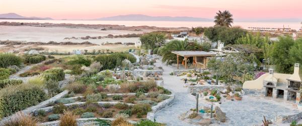 Villa Ione - Naxos