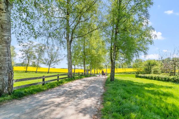 Ferienhof Radlandsichten - Schleswig-Holstein