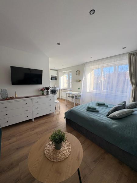 Elegant seaside stay - Vitolu street apartment, Лиепая
