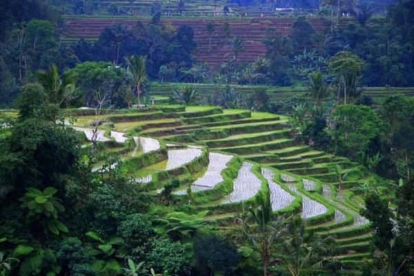Private Poo A Supprimer - Denpasar