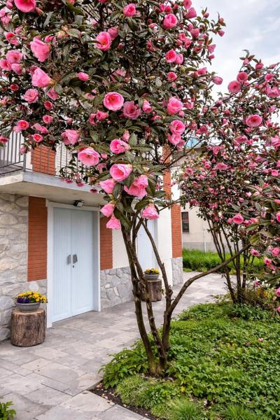 Nella foto è visibile l'oggetto DooR48 situato nella città di Novara.