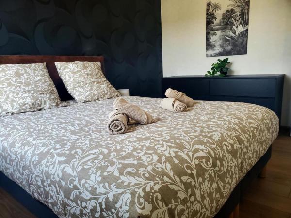 Le Cocon Clermontois - T2 Centre - Clermont-Ferrand