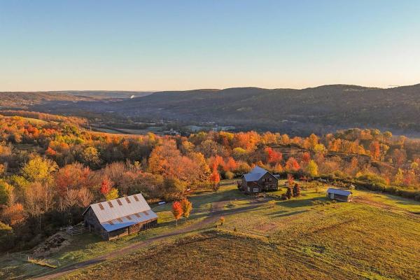 Fawn Crest -Timber Frame Retreat, Firepit, 20 Acre - New York (staat)