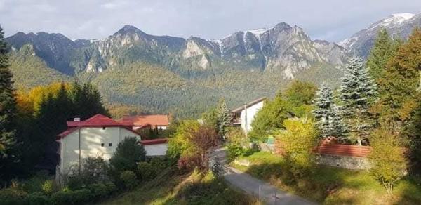 Na zdjęciu widoczny jest obiekt Casa EMY Busteni położony w mieście Buşteni.