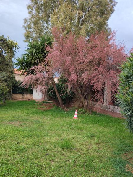House In Garden - Palermo