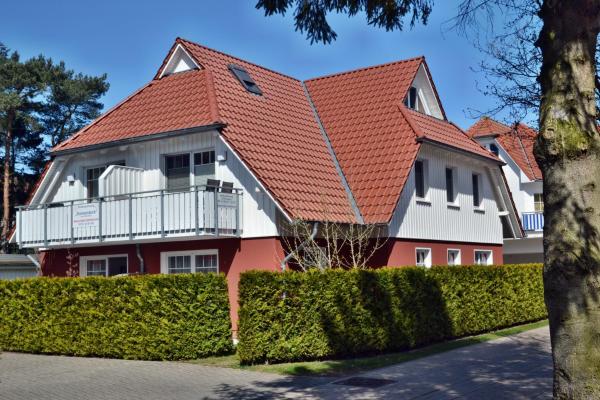 Seepferdchen - Zingst