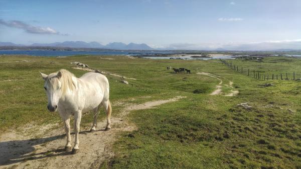 Little Tara, Ballyconneely - Clifden
