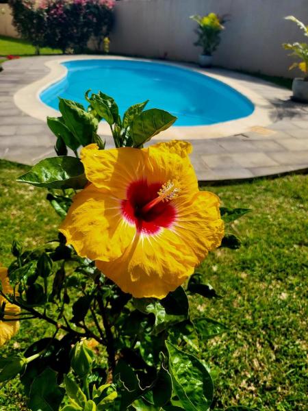 Secure Gated Villa Surrounded By Nature - Mauritius