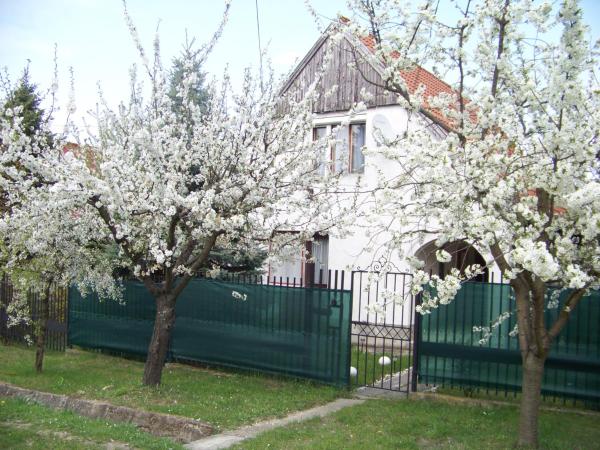 Nefelejcs Apartman - Illmitz