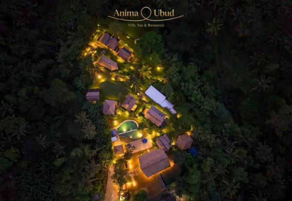Anima Villa Ubud - Bali